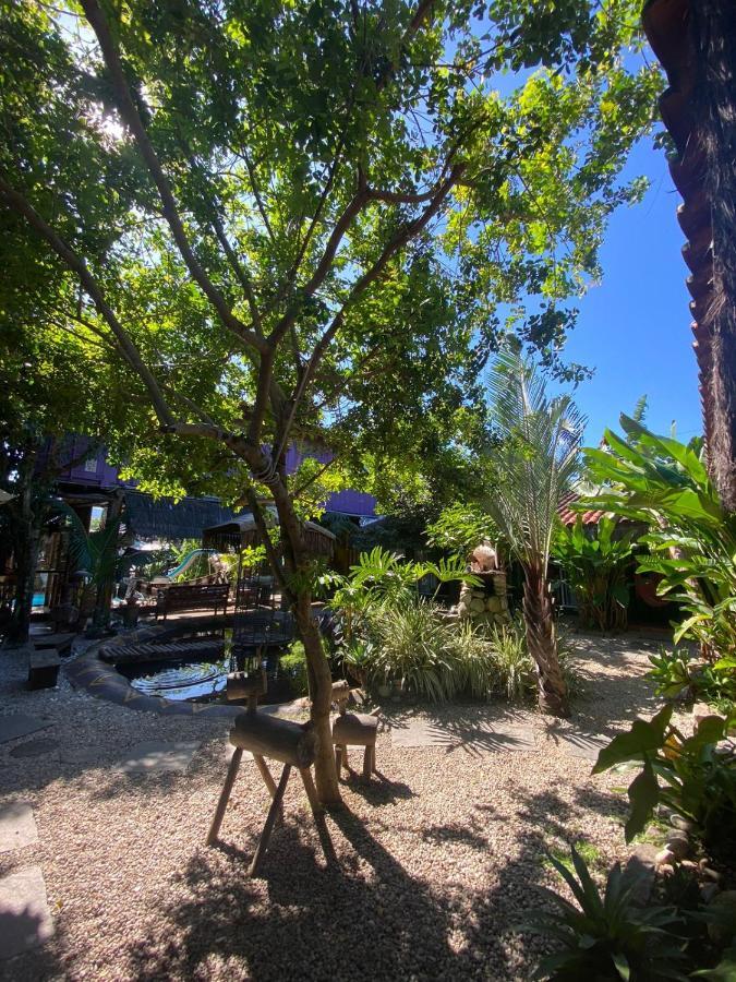 Pousada Papaya Container Ubatuba Eksteriør bilde